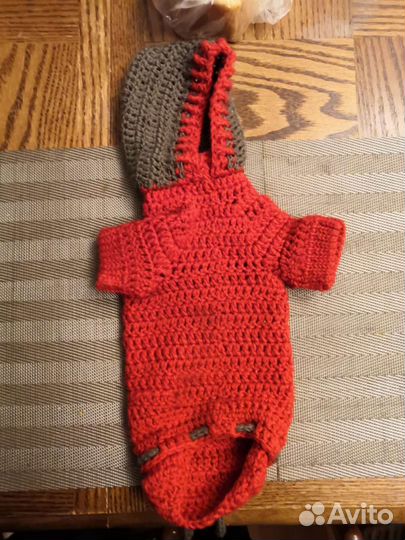 Одежда для животных