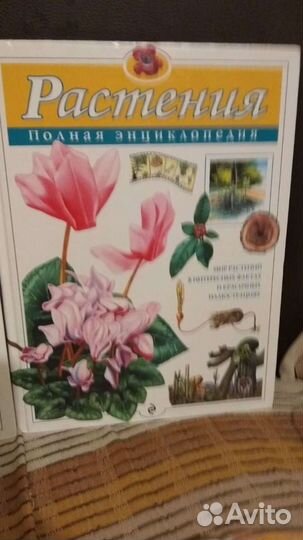 Книги/детская энциклопедия