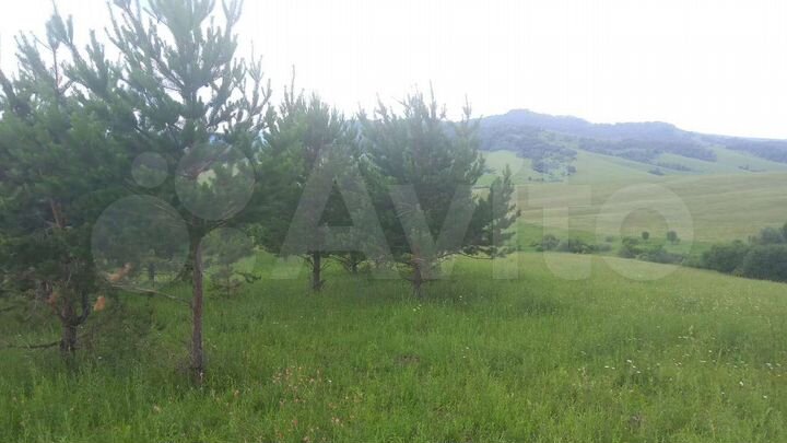 Участок 3,64 га (СНТ, ДНП)