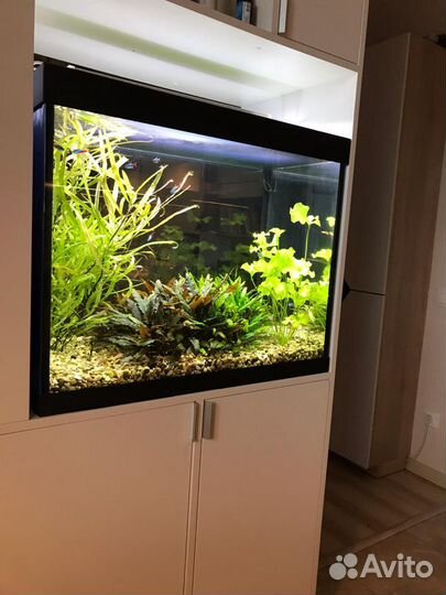 Чистка, оформление, перевозка аквариума