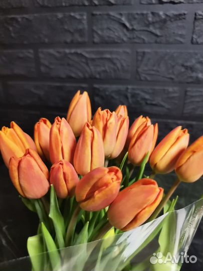 Тюльпаны букет к 8 марта