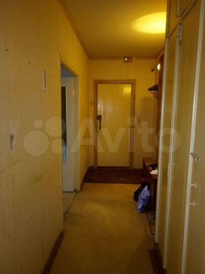 2-к. квартира, 53,7 м², 2/5 эт.