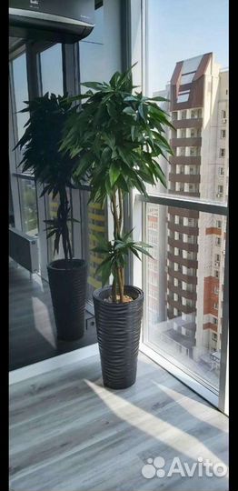 Искусственные деревья и зелень