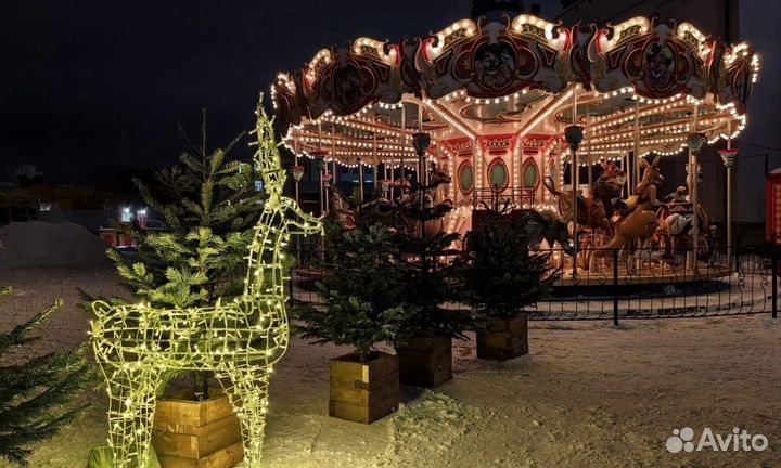 Тур Мержаново+дельфинарий+ Лога