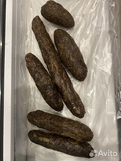 Прополис пчелиный