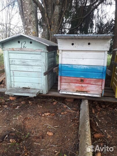 Продаются пчелиные улья бу