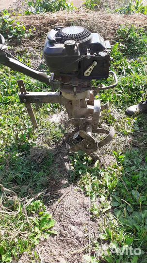 Мотокультиватор тарпан