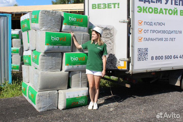 Задувка эковатой