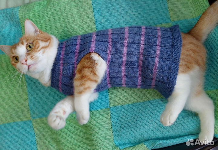 Безрукавка для котов