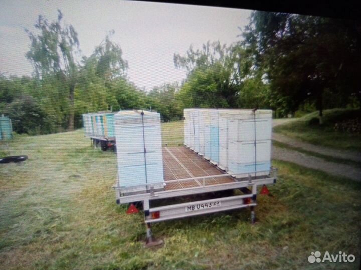 Продаётся пасека