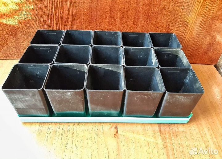 Горшки для рассады с поддоном