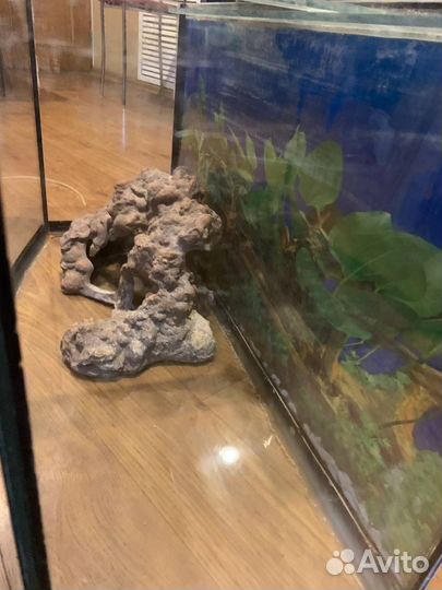 Аквариум 70 или 85 литров