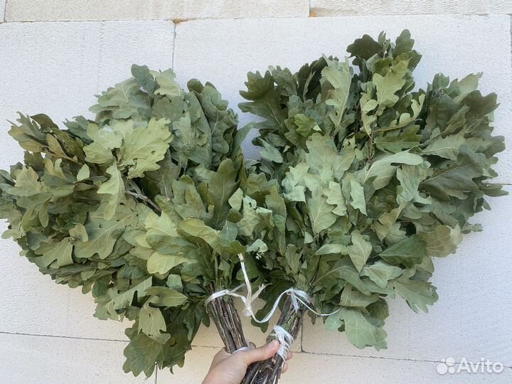 Веники для бани оптом и в розницу