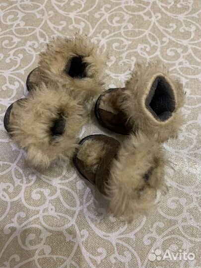 Обувь для маленьких собак