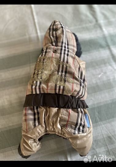 Одежда для собак