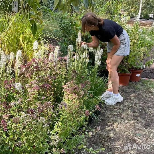 Манжетка мягкая