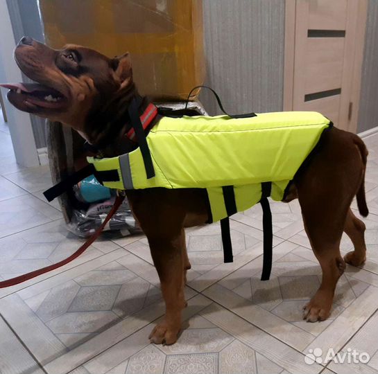 Жилет спасательный для собак