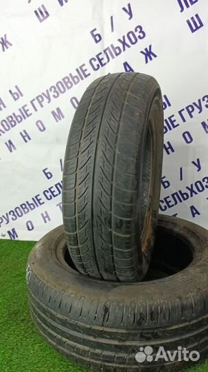 Tigar Sigura 175/70 R14