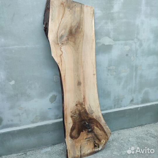 Спилы дерева