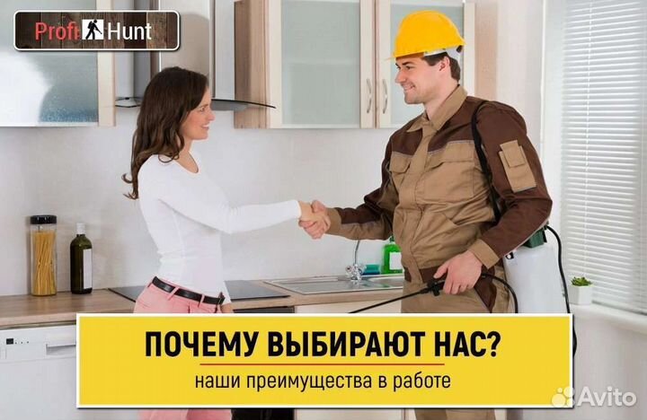 Уничтожение тараканов, клопов