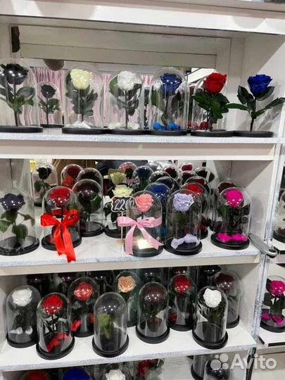 Роза в колбе