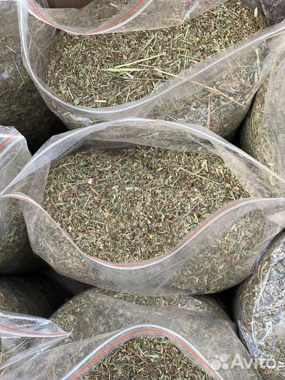 Сенная труха