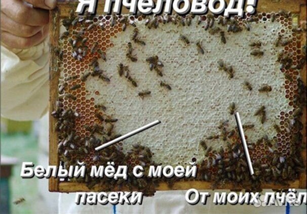 Аккураевый мед