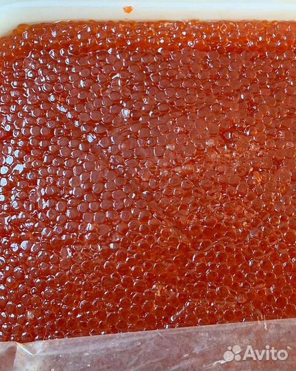 Икра Кеты опт