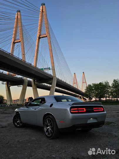 Аренда Трансфер Фотосессия Dodge Challenger