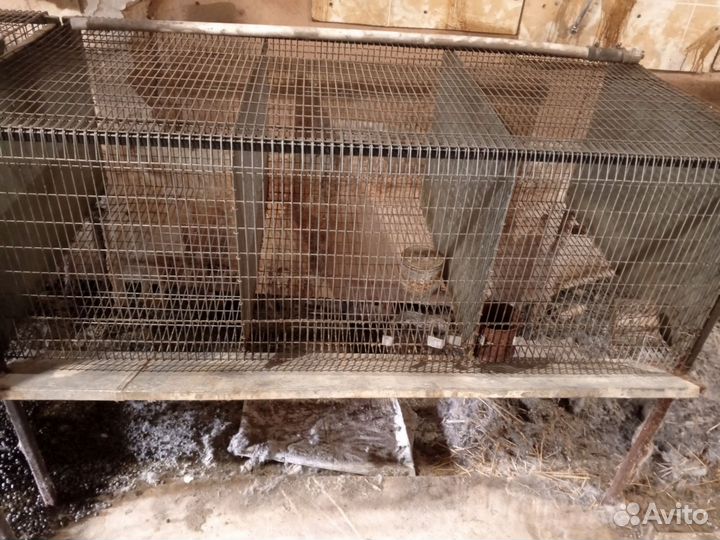 Клетка для кролика