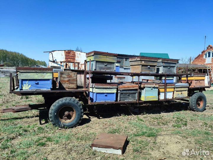 Все для пчеловодства