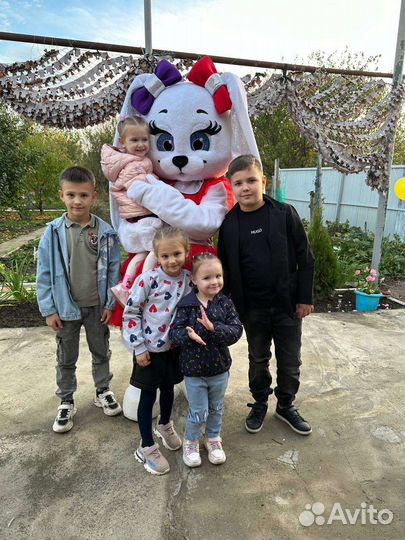 Мишка на праздник