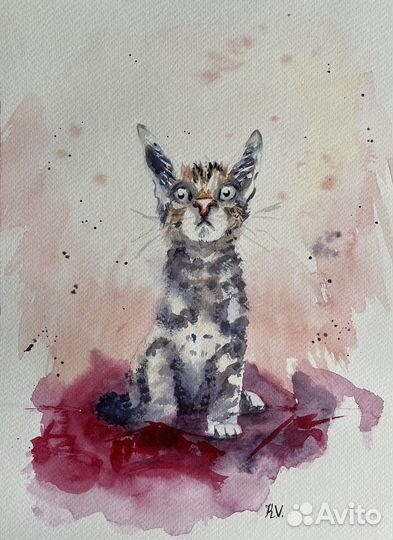 Картина акварель «Котенок Веня» 23х31см