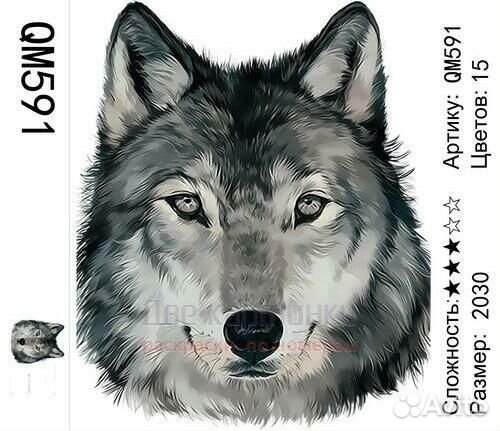 Картина по номерам 20x30 Портрет серого