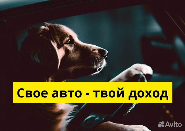 Ваш автомобиль – ваш успех в Яндекс.GO
