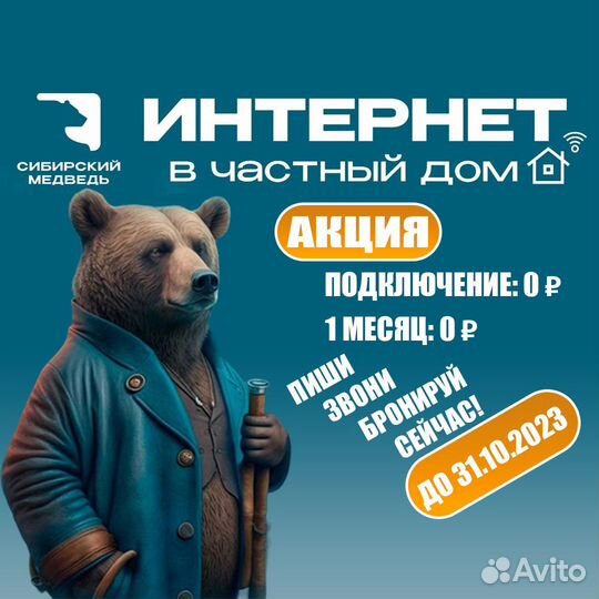 Проводной Интернет в Частный дом Сибирский Медведь