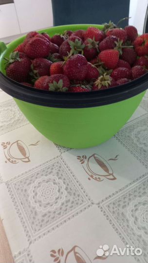 Клубника ягода