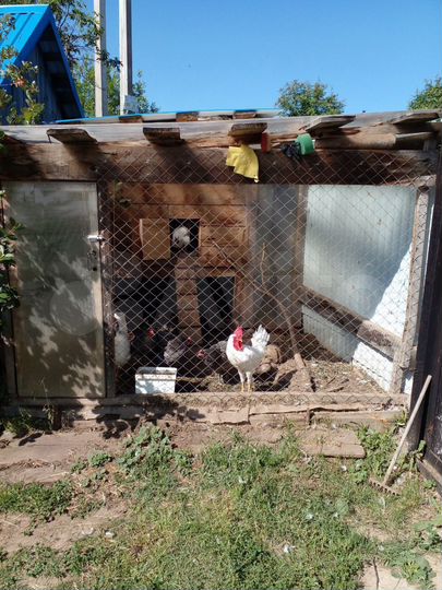 Дача 42 м² на участке 5 сот.