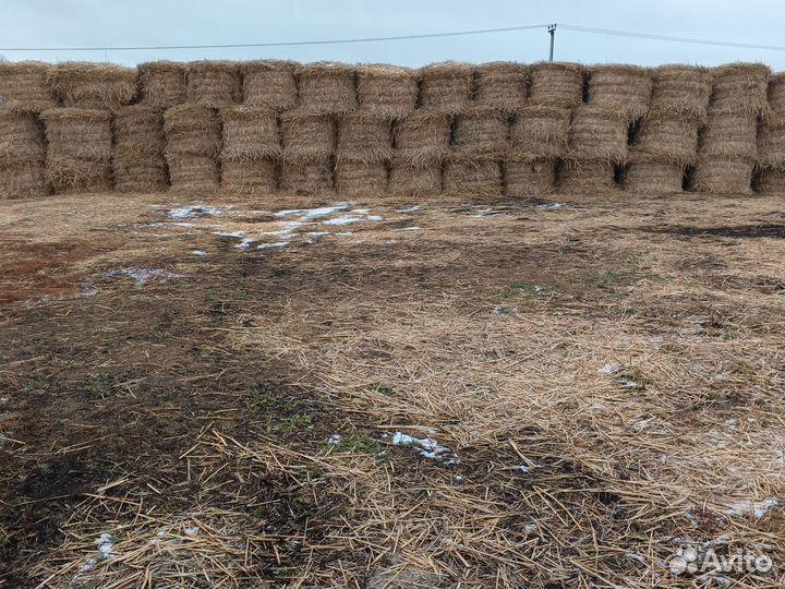 Сено в рулонах