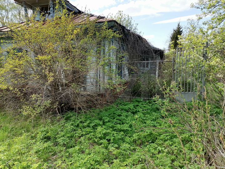 Дом 56,1 м² на участке 13 сот.