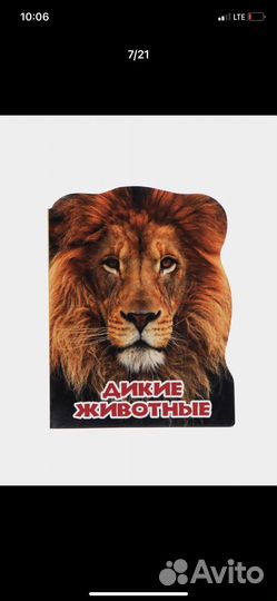 Детские картонные книги