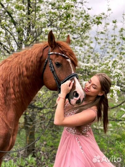 Постой, конные прогулки, фотосессии