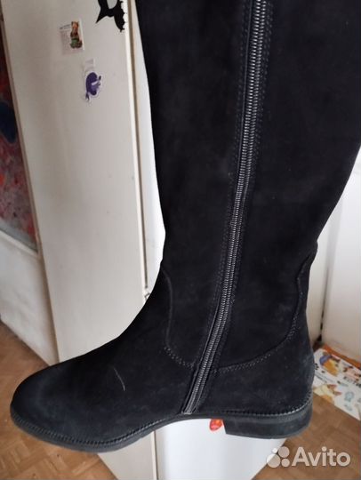 Сапоги женские Econica замша зима