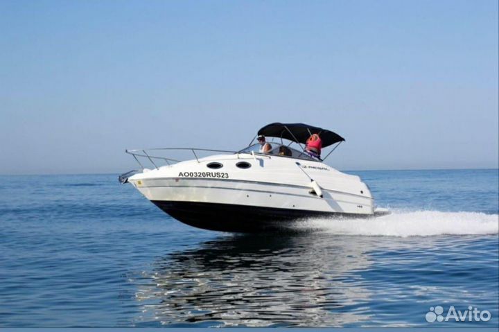 Прогулки на катере на встречу С дельфинами