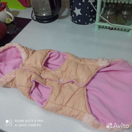 Одежда для собак