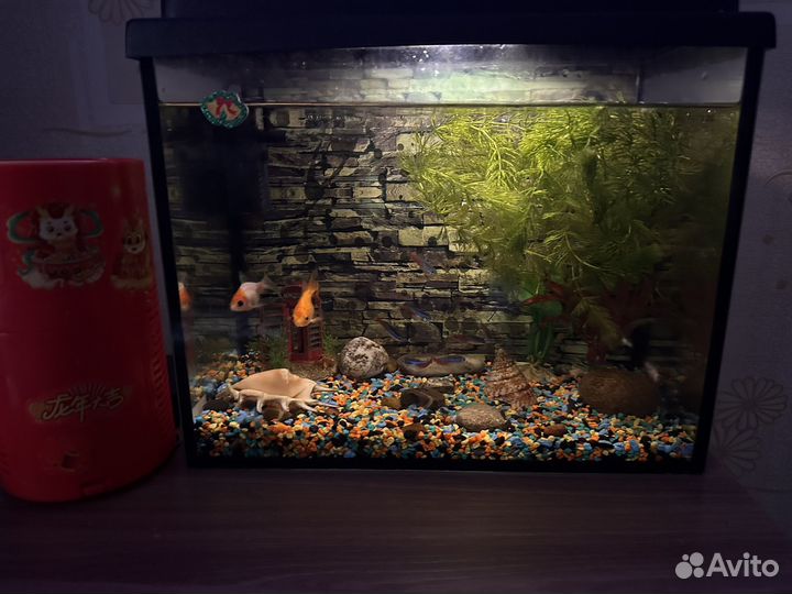 Аквариум