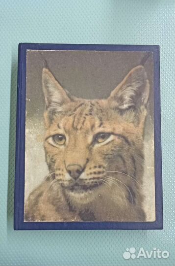 Книги о рыбалке и охоте