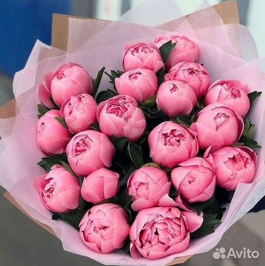 Пионы Букет