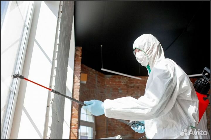 Обработка от тараканов, клопов, блох, муравьев