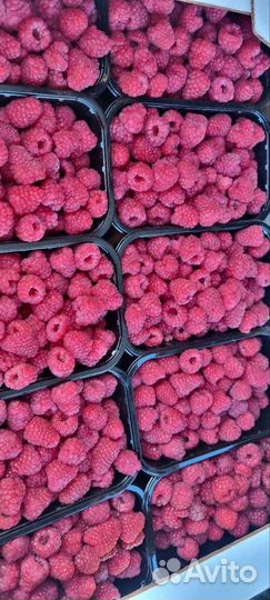 Малина Vip с доставкой крупная сладкая